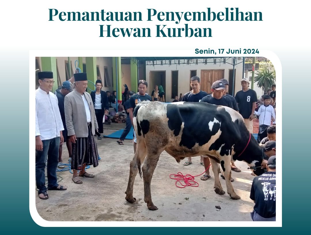 Pemantauan Penyembelihan Hewan Kurban 1445H / 2024M