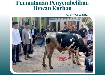 Pemantauan Penyembelihan Hewan Kurban 1445H / 2024M