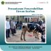Pemantauan Penyembelihan Hewan Kurban 1445H / 2024M